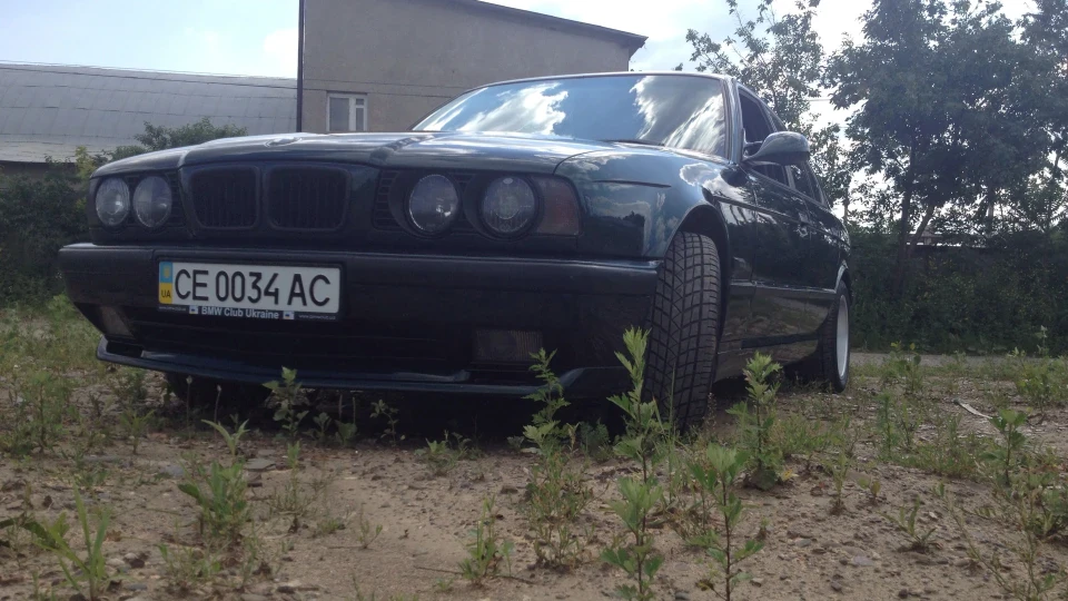 BMW 5 series Green Shark 4