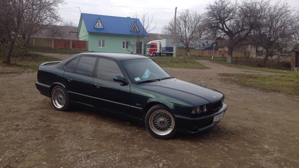 BMW 5 series Green Shark 5