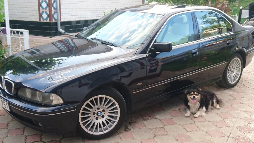 BMW 5 series individual 5