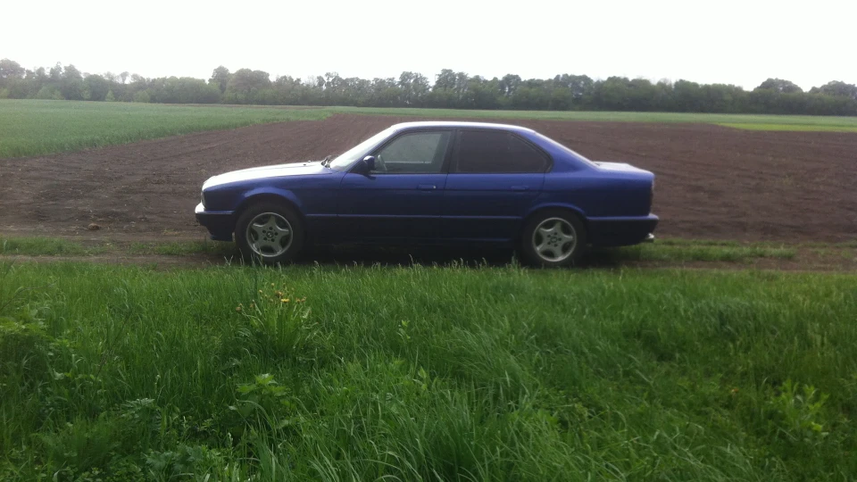 BMW 5 series LeMans Blau 5