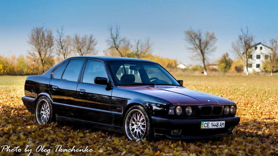 BMW 5 series М50 20i с 2.08.17 М54B30 4