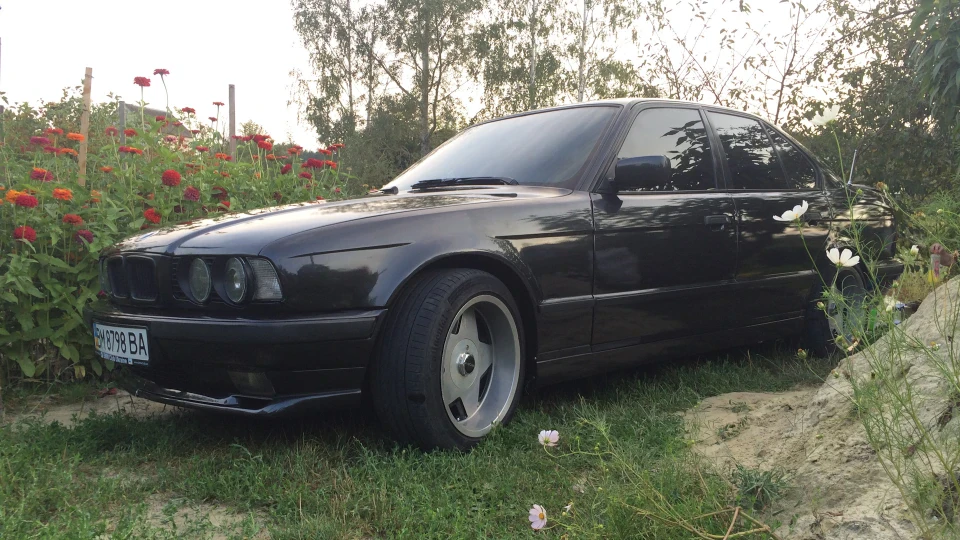 BMW 5 series - мрії здійснюються 5