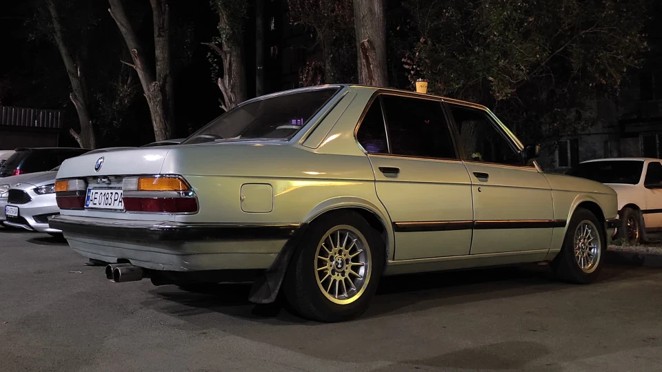 BMW 5 series Дика блоха 2