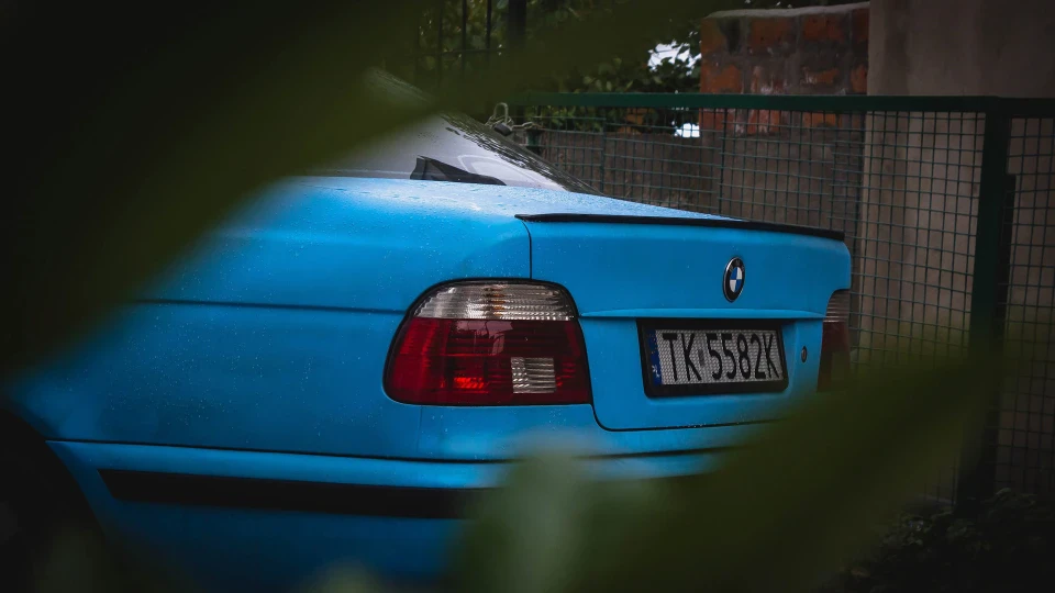 BMW 5 series Петрушка 4