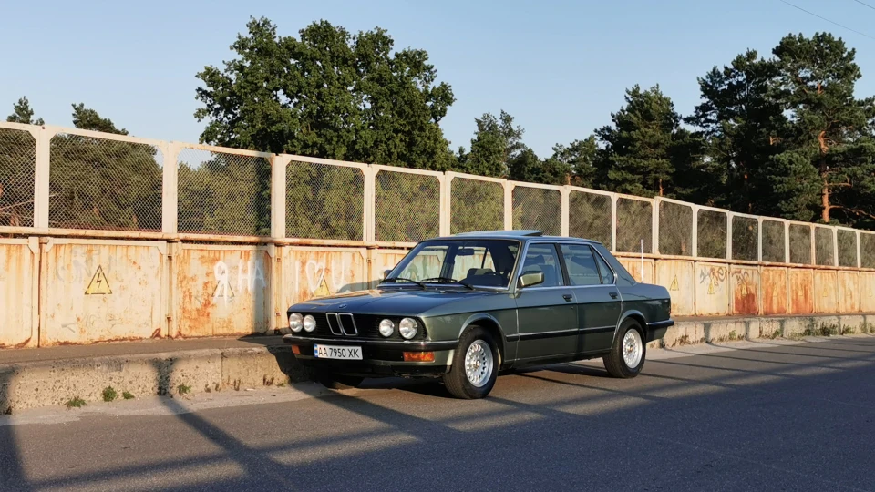 BMW 5 series Плющ