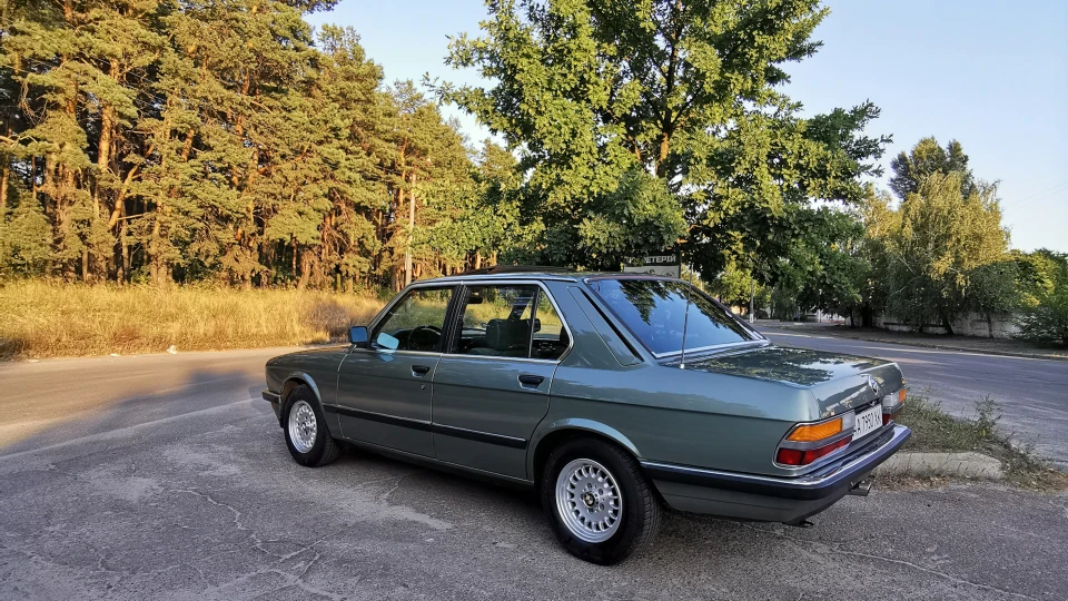 BMW 5 series Плющ 2