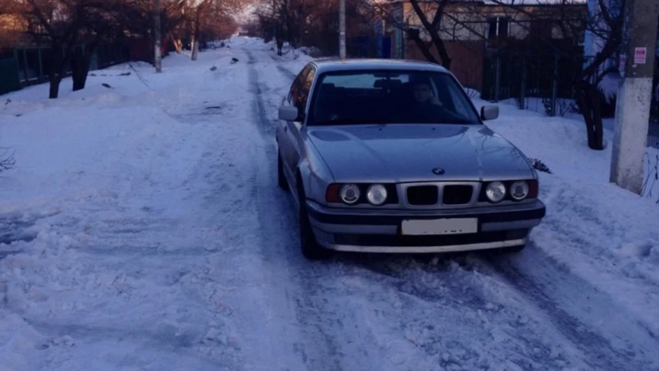 BMW 5 series ПОРОДИСТА BMW