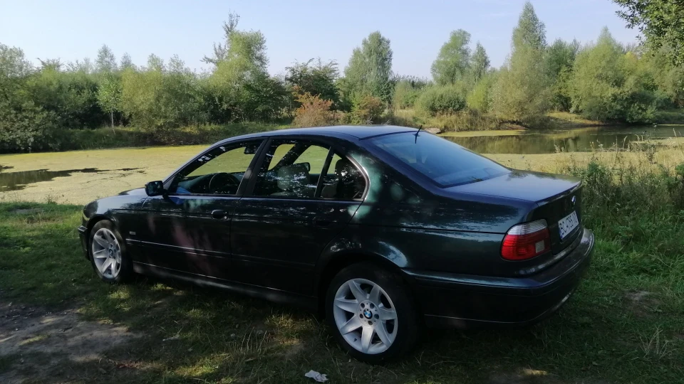 BMW 5 series Skarabаeus 2
