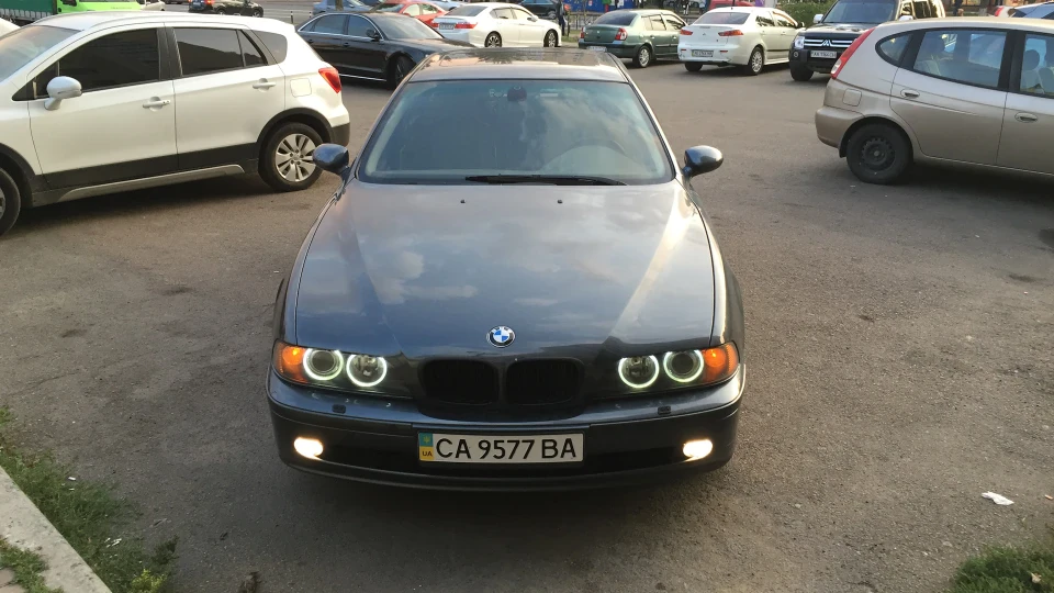 BMW 5 series Stifler's Mom 3