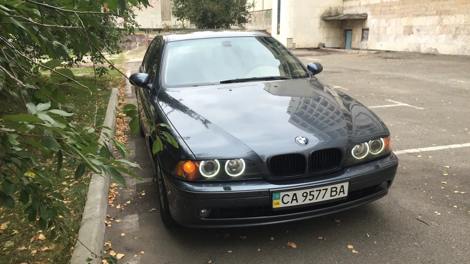 BMW 5 series Stifler's Mom 4