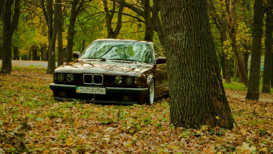 BMW 7 series 5