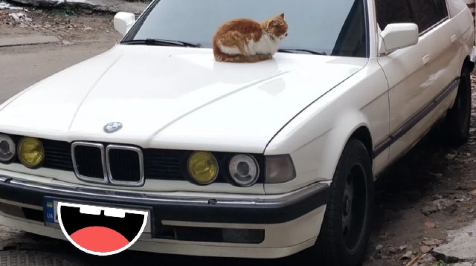 BMW 7 series Біла Баржа 4