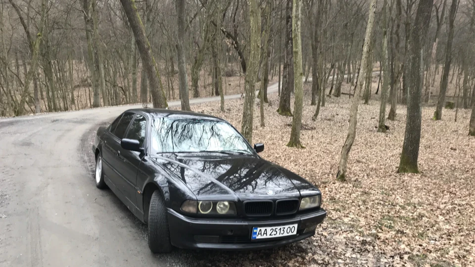 BMW 7 series Чорна ніздря 3