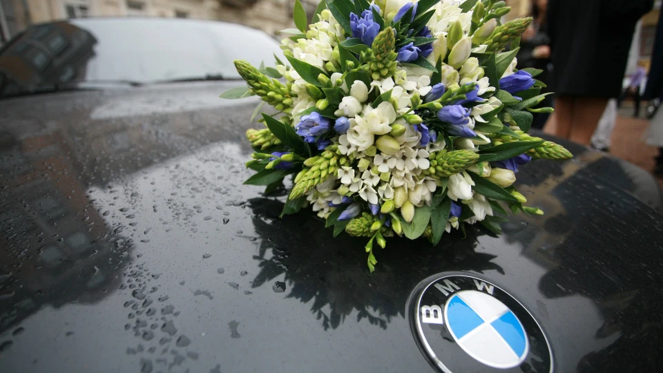 BMW 7 series Мишка 4