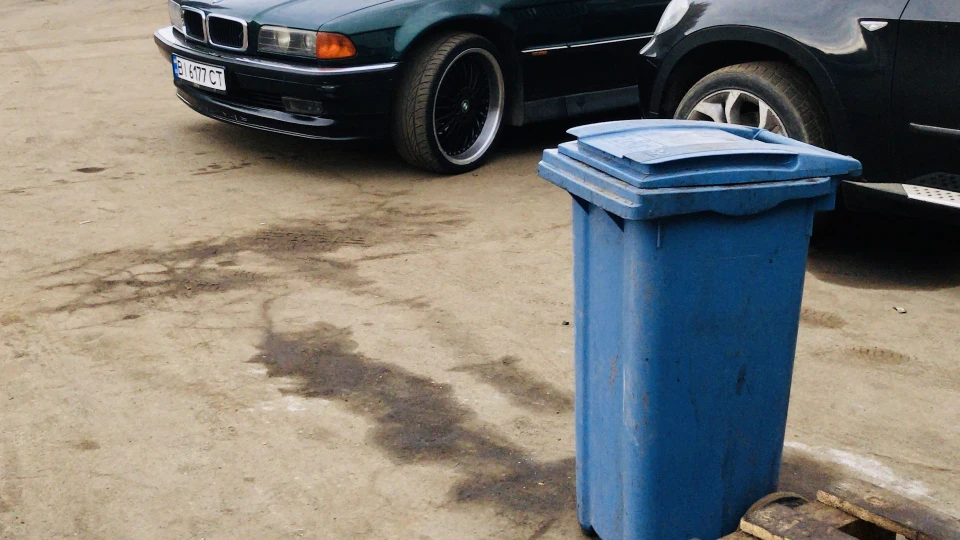 BMW 7 series Насіння на ручці 2