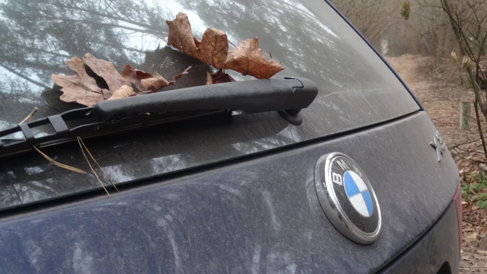 BMW X3 3.0 В ОВІЧІЙ ШКУРІ 3