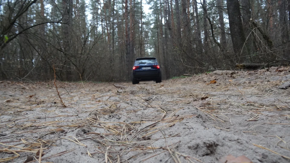 BMW X3 3.0 В ОВІЧІЙ ШКУРІ 4