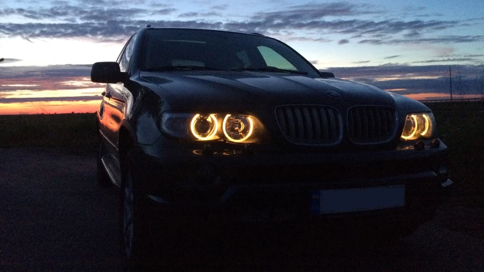 BMW X5 Бобик =) 5