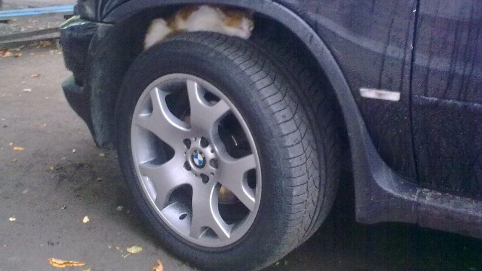BMW X5 ІКСеня 2