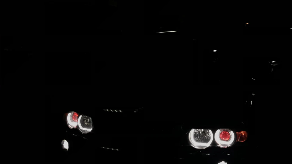 BMW X5 Х5 Скорохід 5