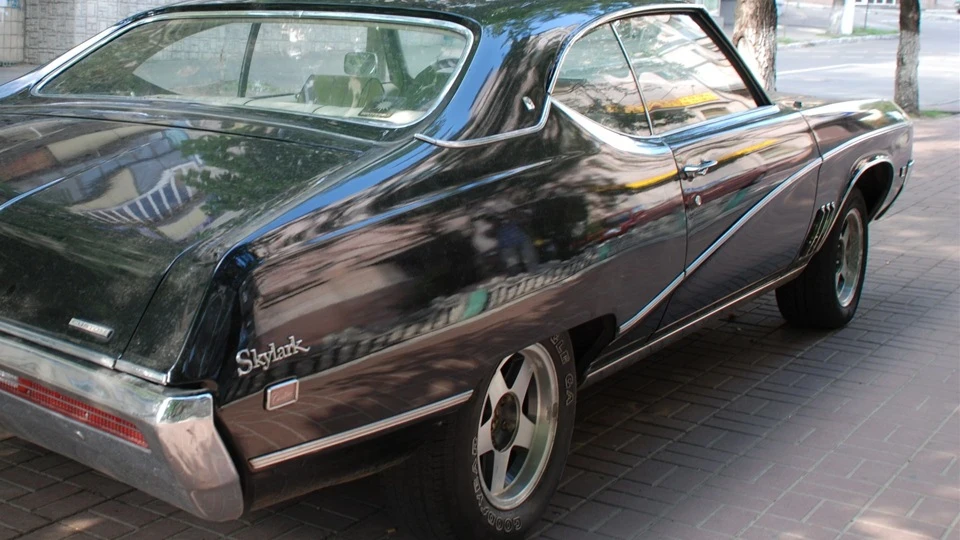 Buick Skylark Custom 1969 4