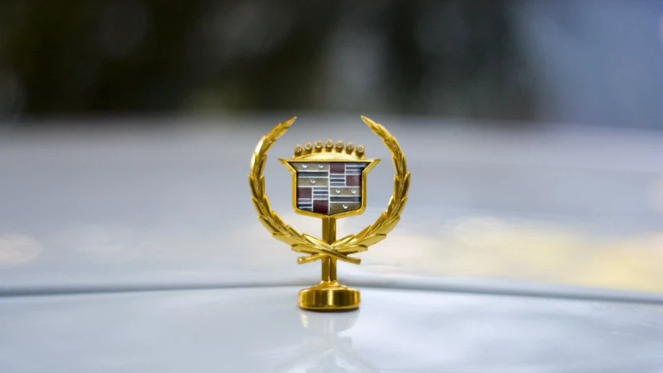 D Elegance Gold 5