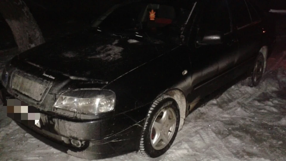 Chery Amulet Жвава китайська конячка 5