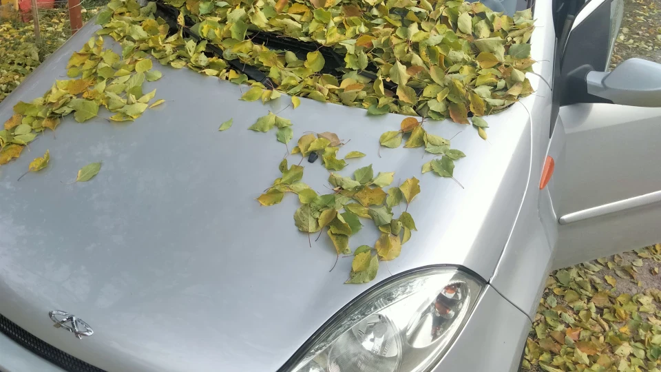 Chery Kimo Кимка