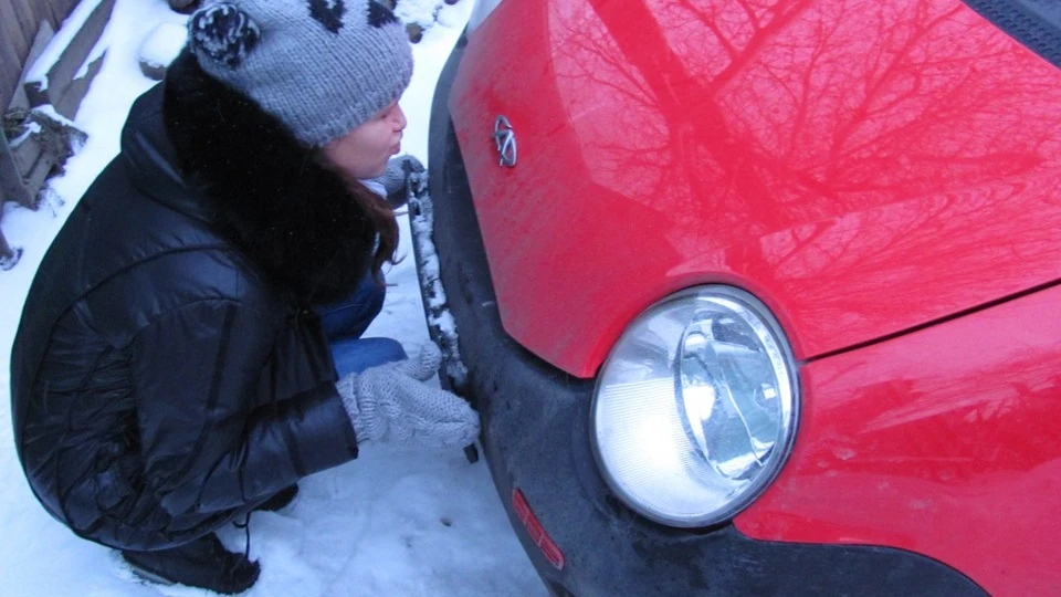 Chery QQ Жужукалка 3