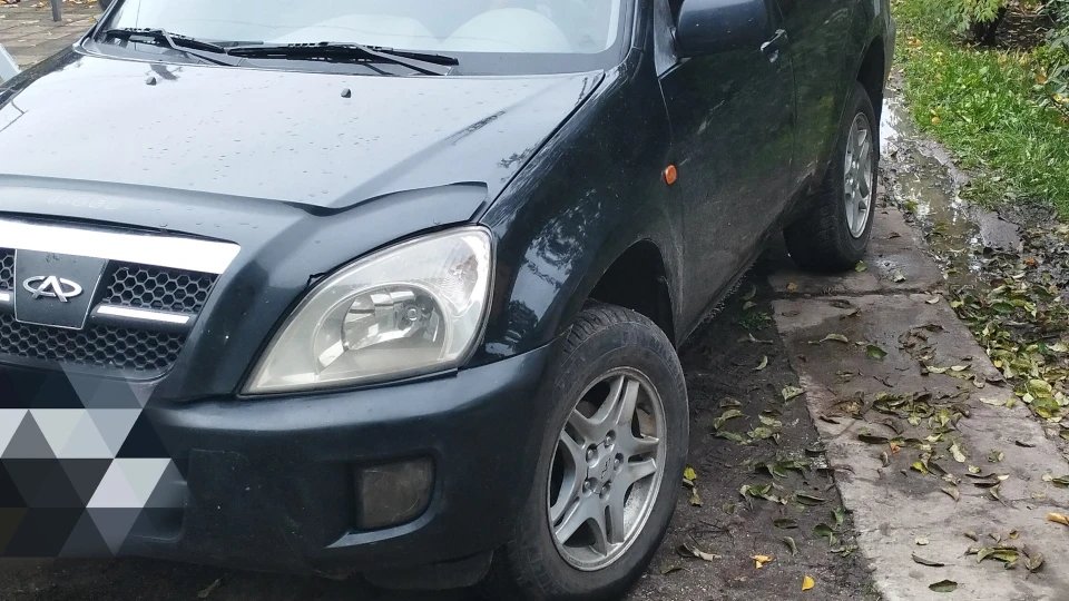 Chery Tiggo Смугастий їжачок