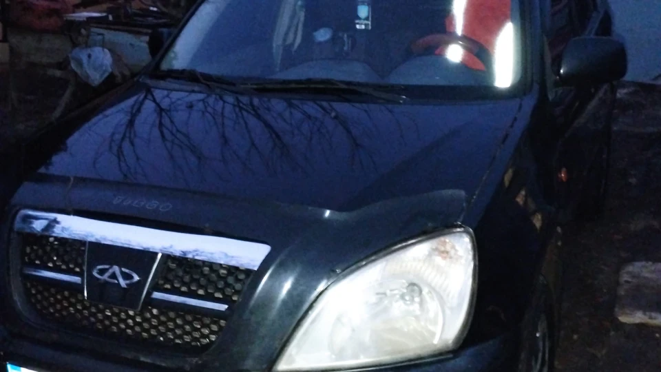 Chery Tiggo Смугастий їжачок 2
