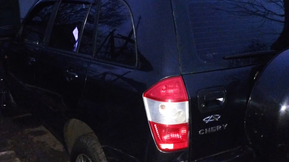 Chery Tiggo Смугастий їжачок 4