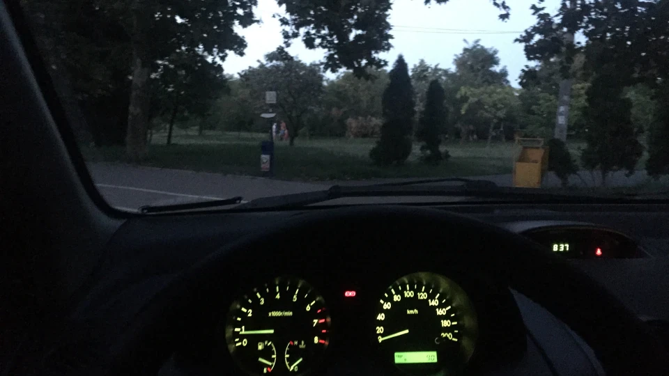 Chevrolet Aveo 5-door Овечка 3