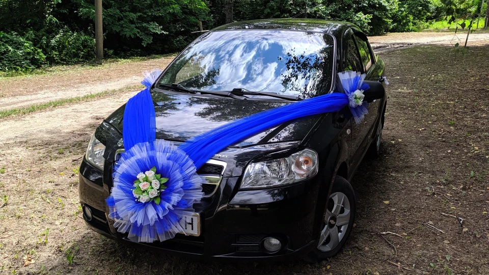 Chevrolet Aveo Sedan Чорниш 2