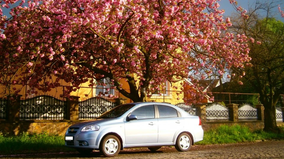 Chevrolet Aveo Sedan LT little ta4ka 3
