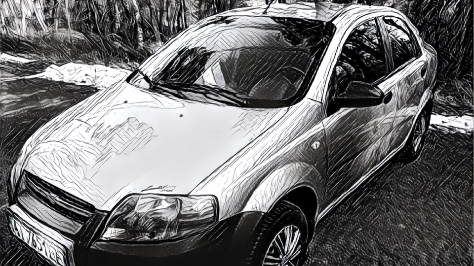 Chevrolet Aveo Sedan сіра Ластівка 3