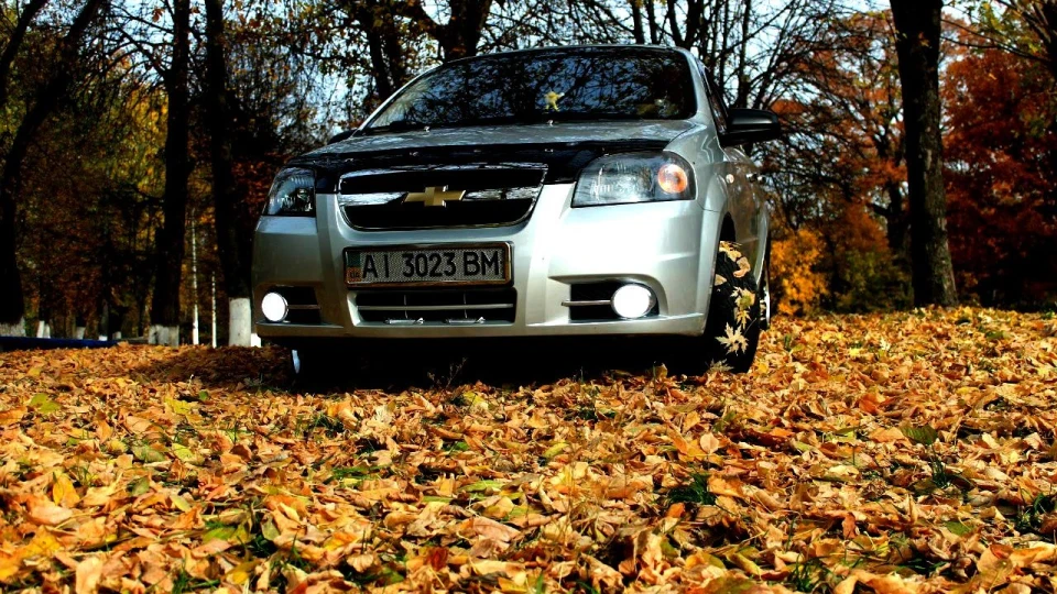 Chevrolet Aveo Sedan Сріблястий металік 5