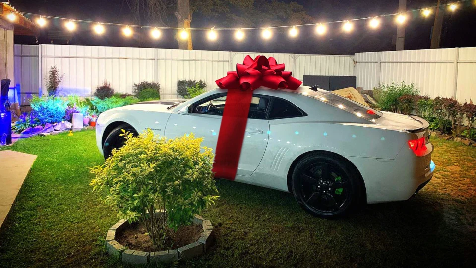 Chevrolet Camaro Stiflers Mom 010 5