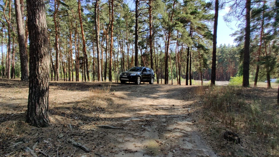 2 0 D 2