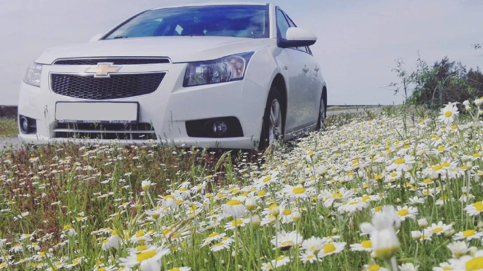Chevrolet Cruze Білий 1,8 МТ 4