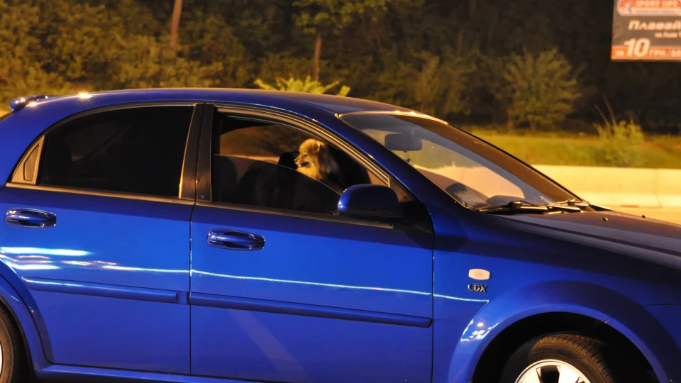 Chevrolet Lacetti 5D CDX 2