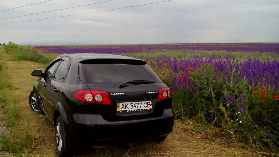 Chevrolet Lacetti 5D ластівка 5