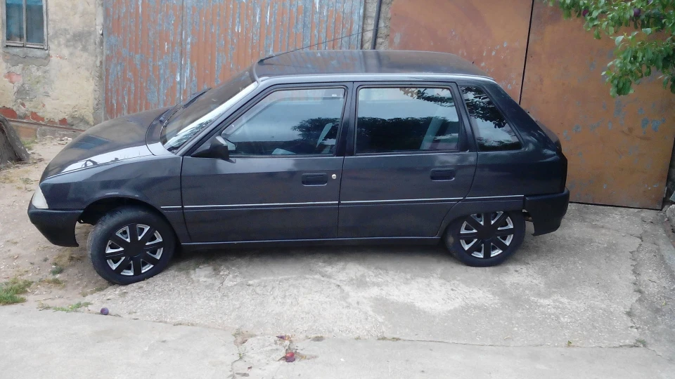 Citroen AX 1.4trd fazan