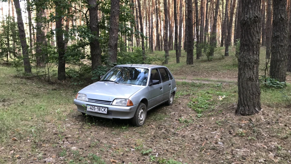 Citroen AX Француз
