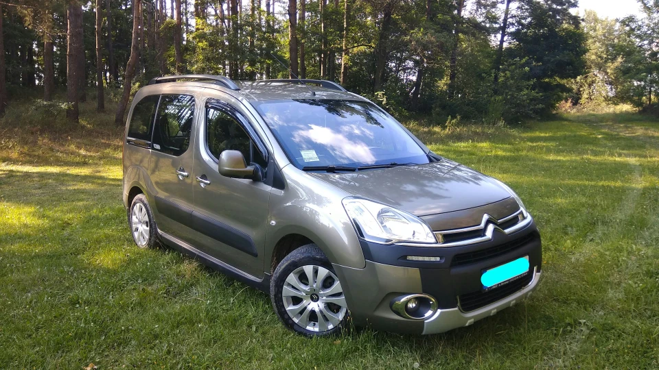 Citroen Berlingo ГІПОПОТАМЧИК 2