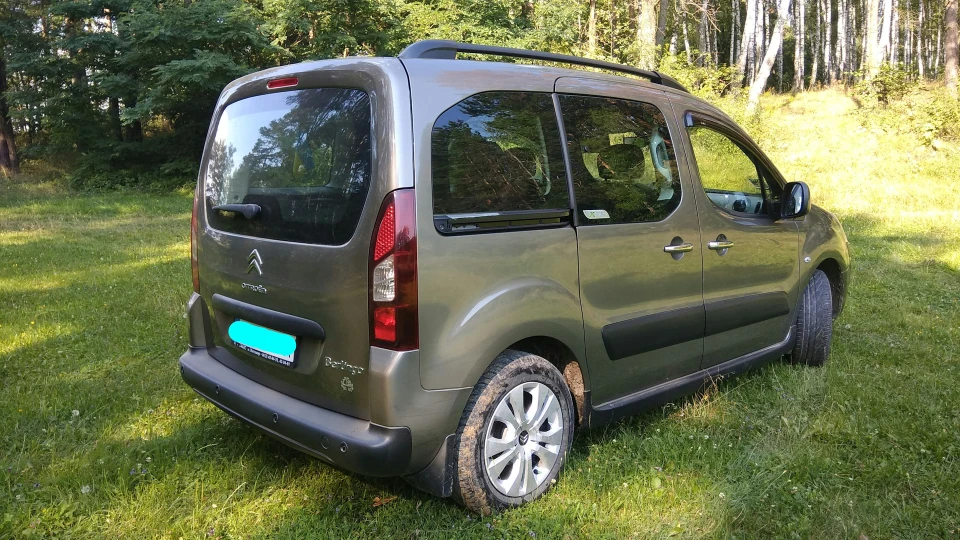 Citroen Berlingo ГІПОПОТАМЧИК 4