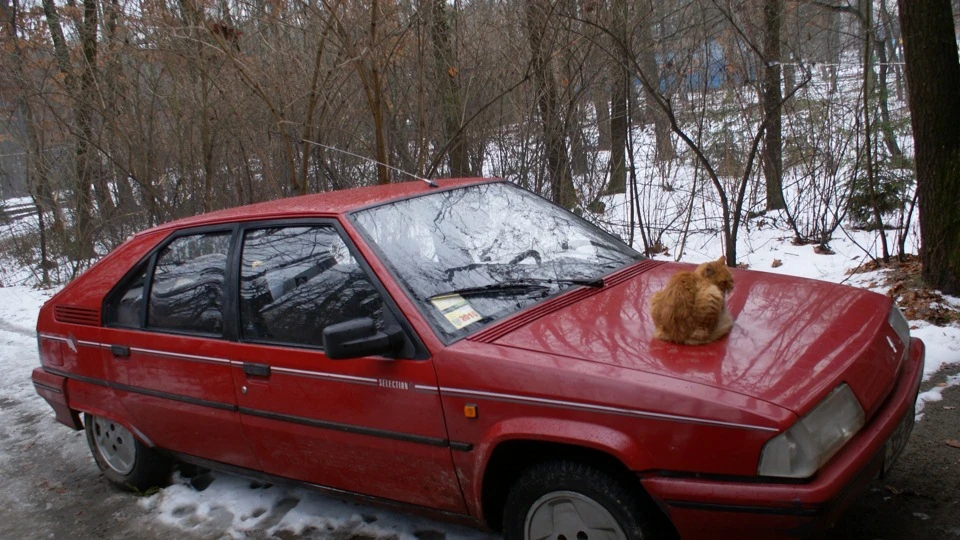 Citroen BX З іншої планети 3