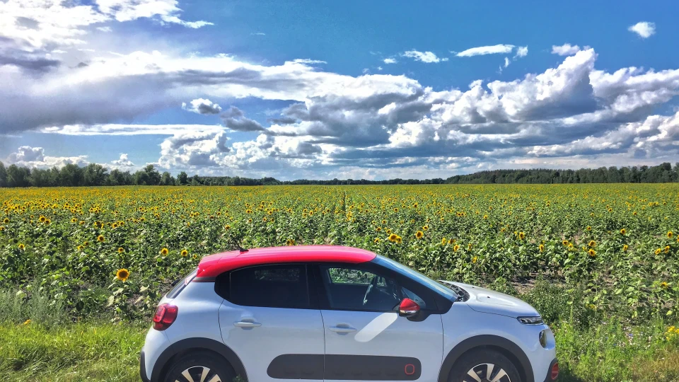 Citroen C3 #glorythecitroen