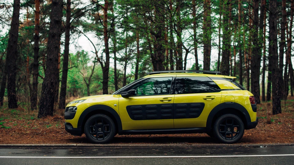 Citroen C4 Cactus 5