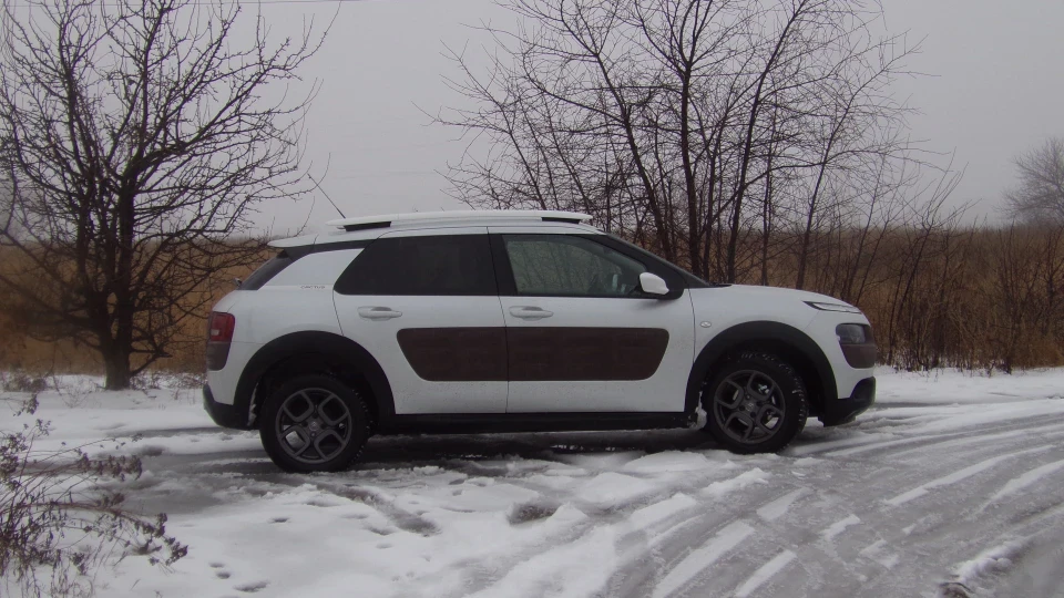 Citroen C4 Cactus 4
